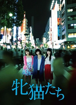 免费黄色一级-日韩伦理片高清迅雷下载